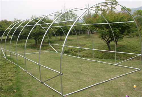 TUNNEL GREENHOUSE CLEAR - WALK IN NURSERY HOTHOUSE