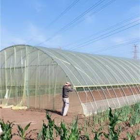 YELLOW GREENHOUSE FILM POLYETHYLENE COVERINGS