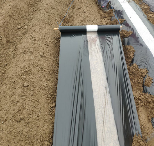 Two Color strip Mulch Film for Agricultural
